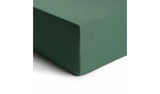 Habitat cotton rich leaf green fitted sheet double, UK version