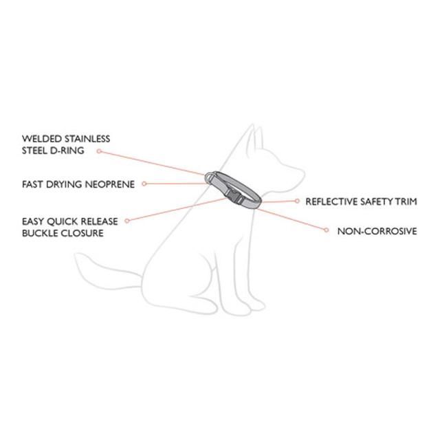 EzyDog Neo Classic Red Dog Collar GOODS M&S   