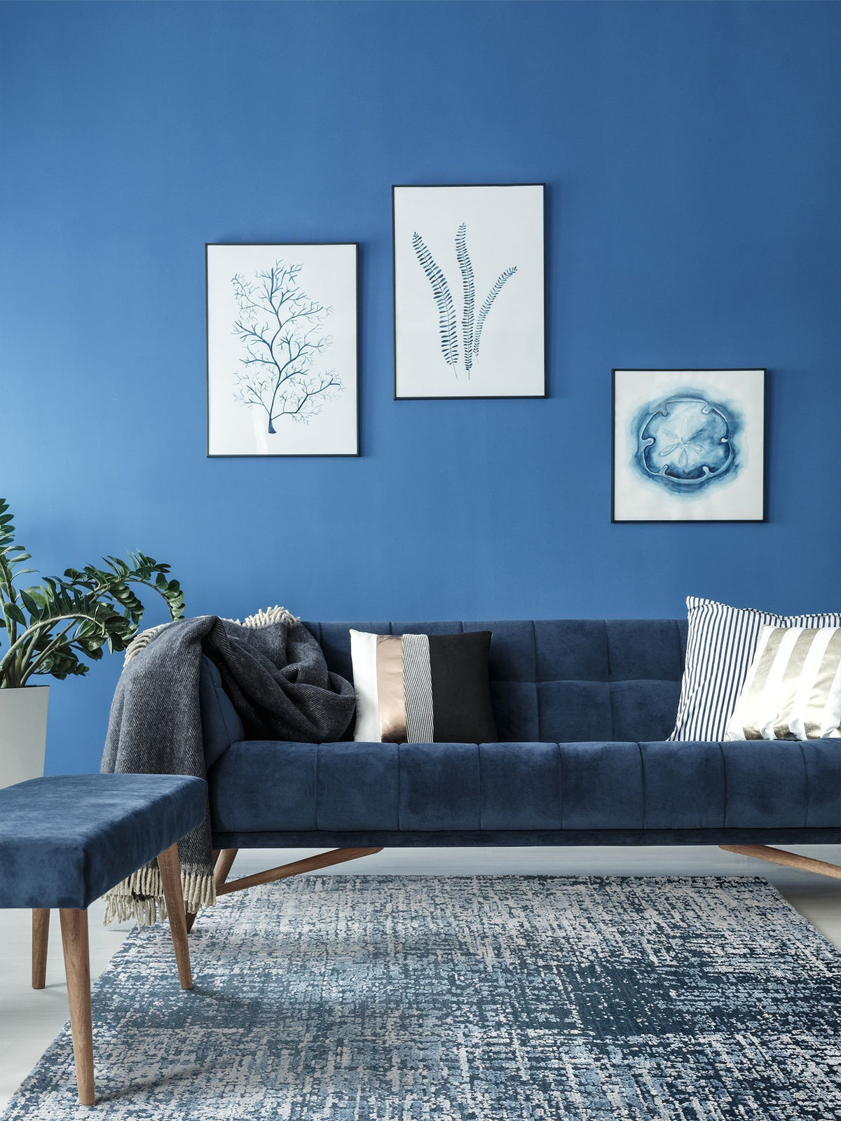 Asiatic Rugs Torino rug in Petrol Blue (British brand)