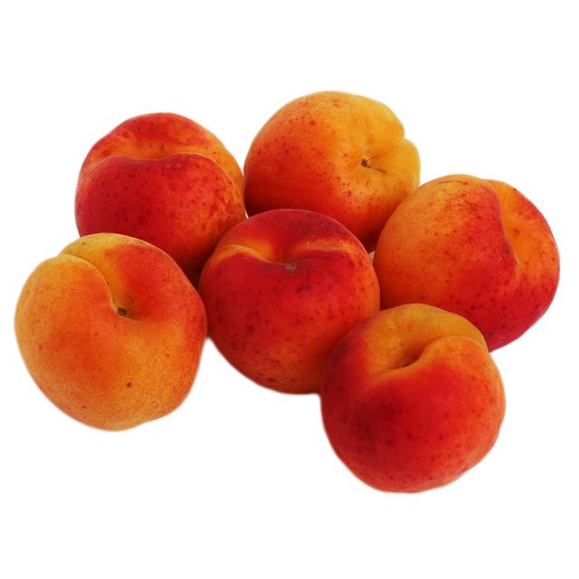 Wholegood Organic Apricots   300g