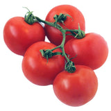 Wholegood Organic Vine Tomatoes   450g GOODS M&S   