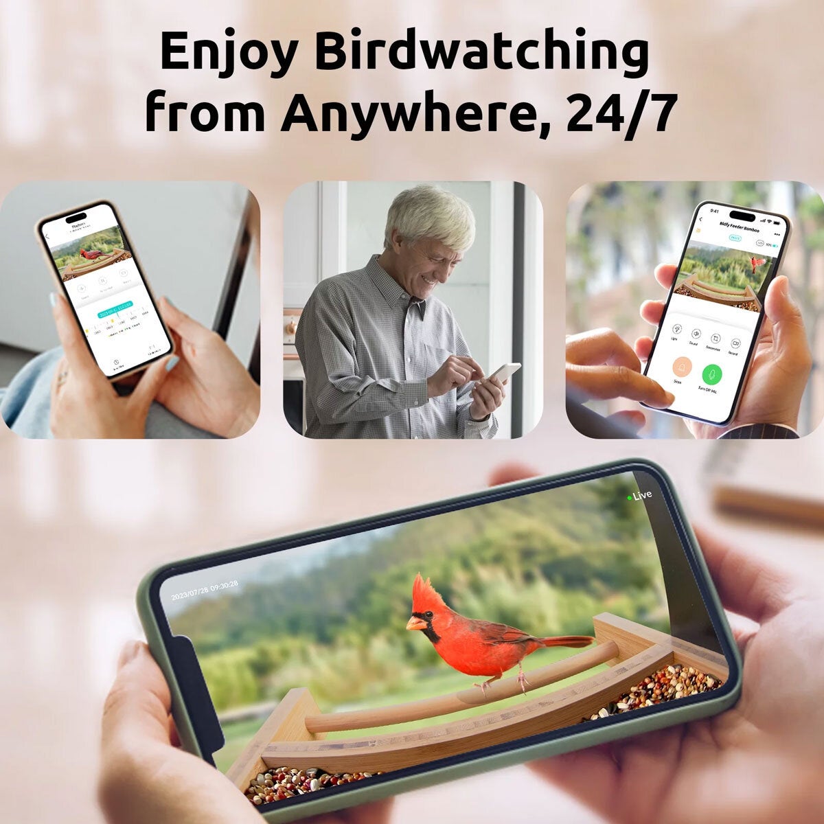 Birdfy Bamboo bird feeder with camera and solar panel, imported from the UK
