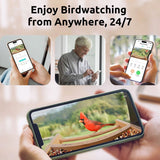 Birdfy Bamboo bird feeder with camera and solar panel, imported from the UK