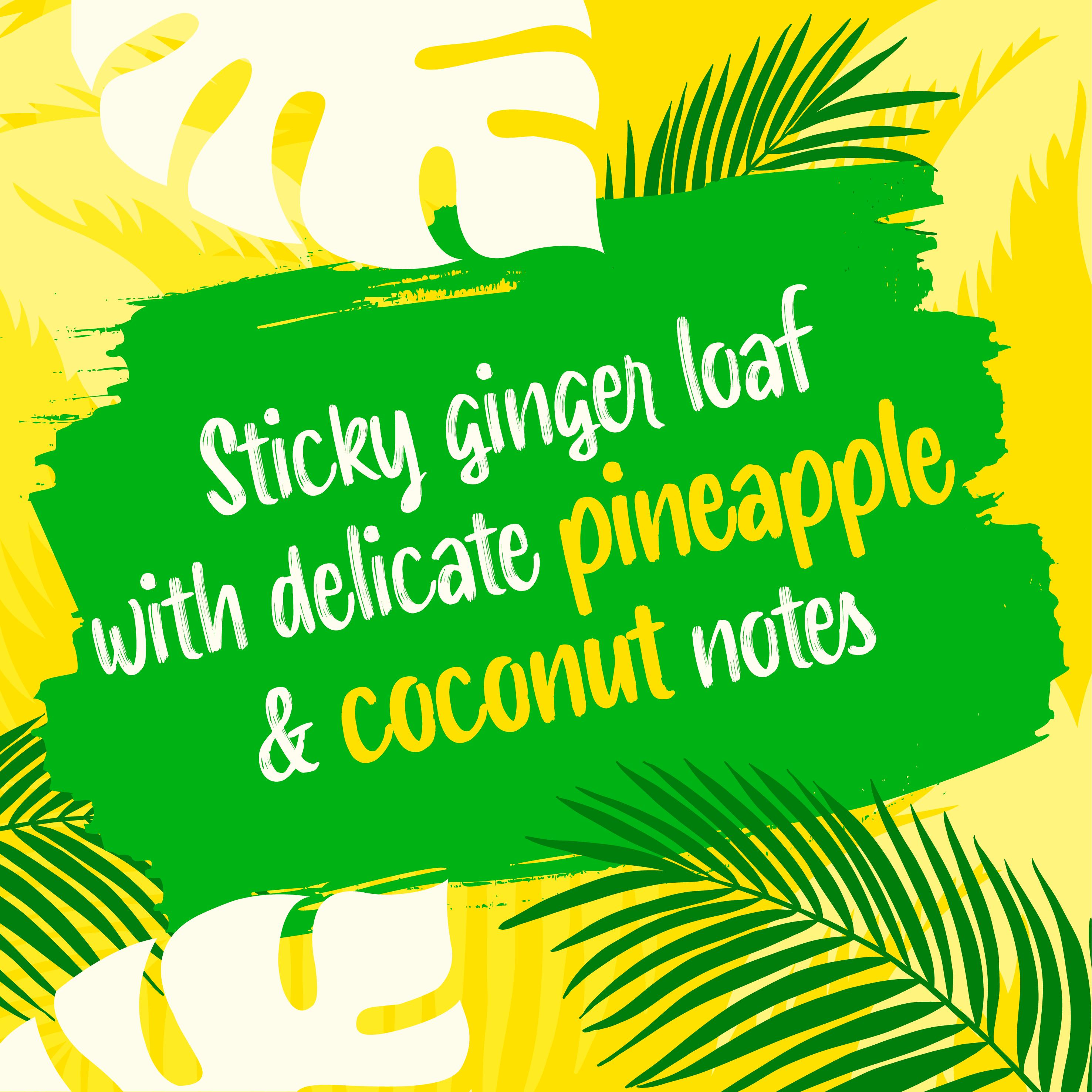 McVitie's Jamaica ginger pineapple coconut sticky pudding cake (British brand)