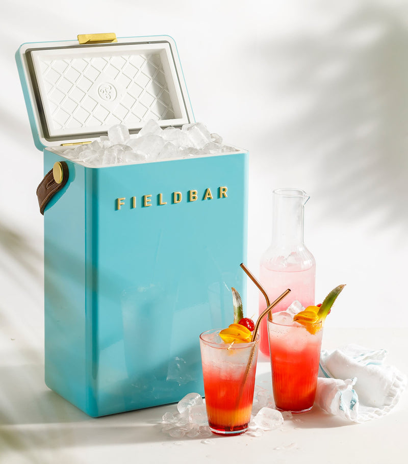 Fieldbar drinks box cooler with interchangeable straps 10L - British product