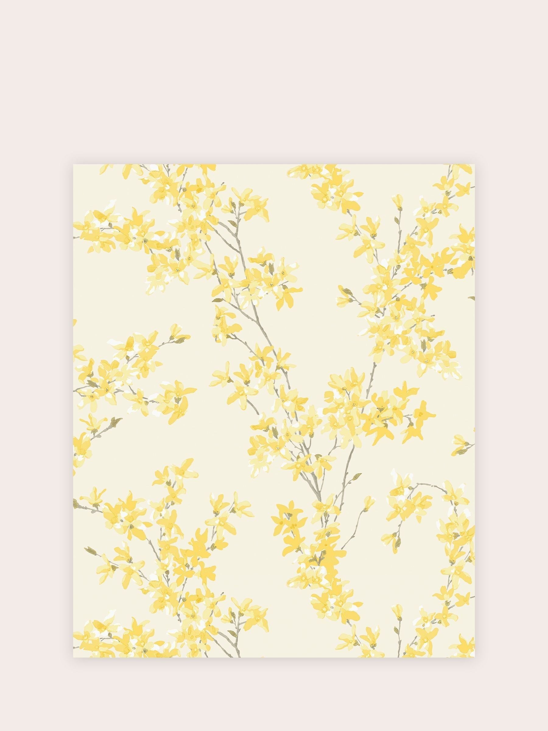 Laura Ashley wallpaper sample Sunshine Forsythia A4, imported from the UK