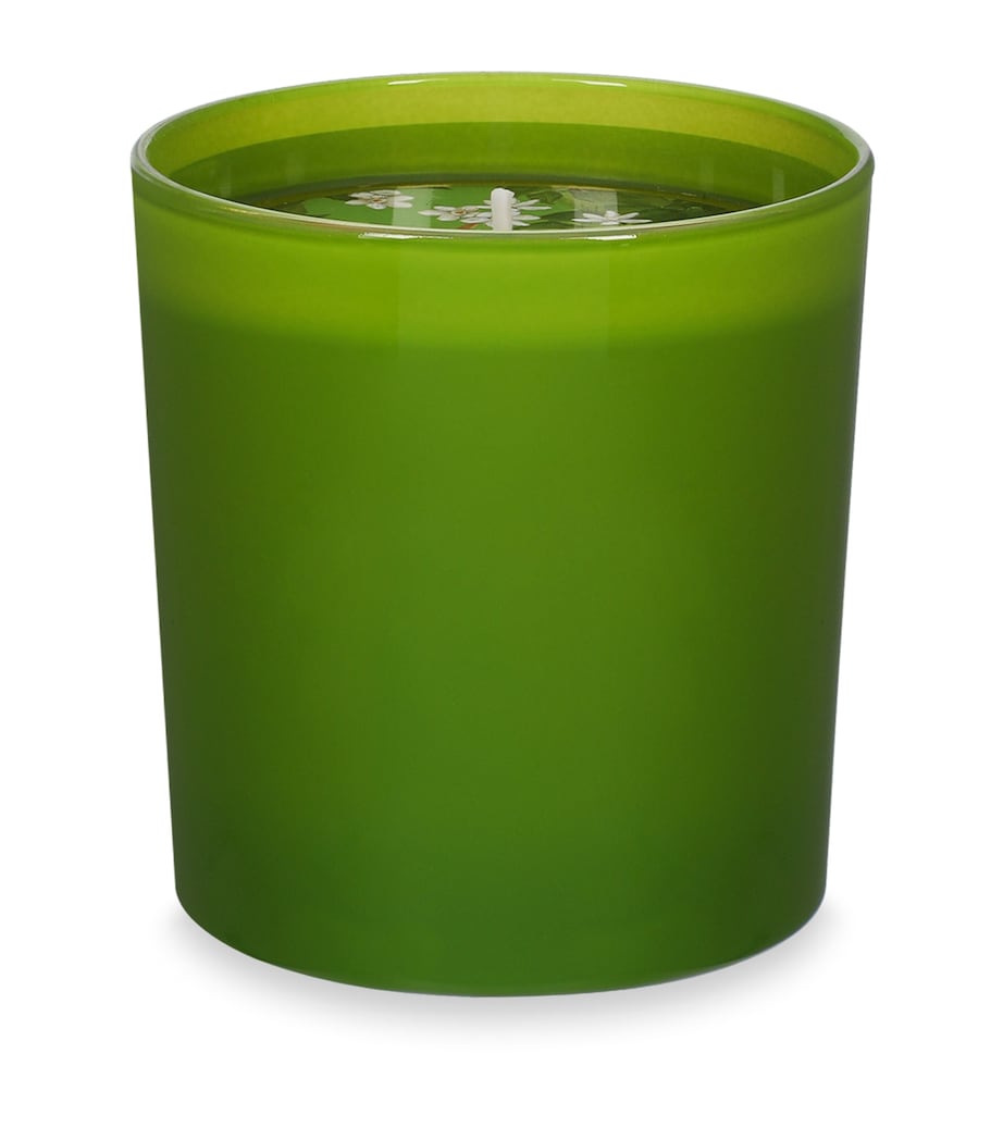 Dolce&Gabbana Arancio di Sicilia scented candle 250g, UK version