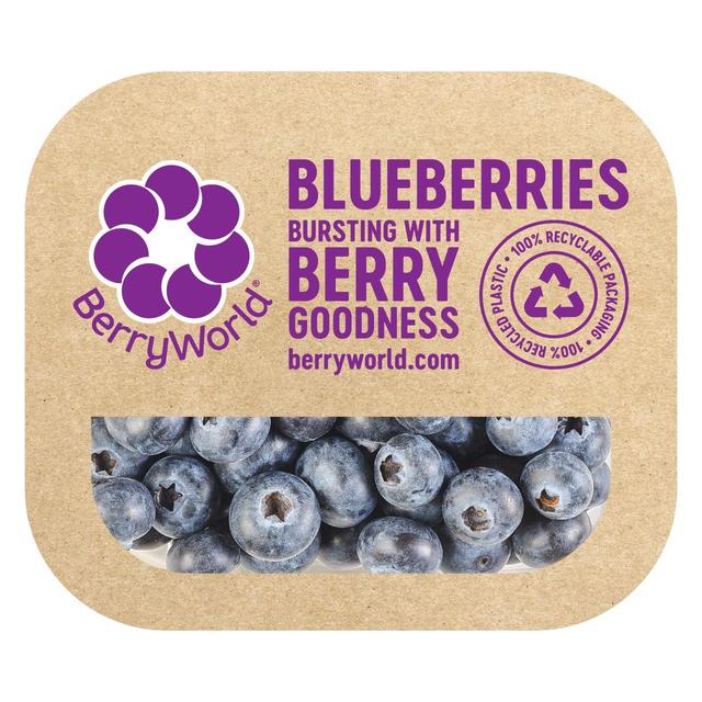 BerryWorld Blueberries   150g