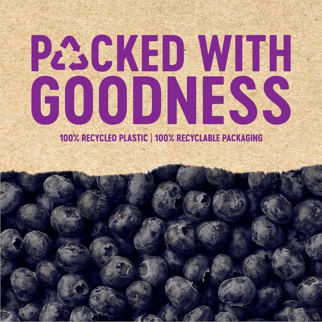 BerryWorld Blueberries   150g GOODS M&S   