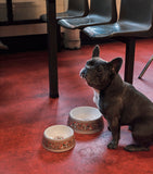 Wedgwood Florentine pet bowl 21cm, UK version