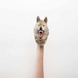 Wild Thingz wolf hand puppet (British brand)
