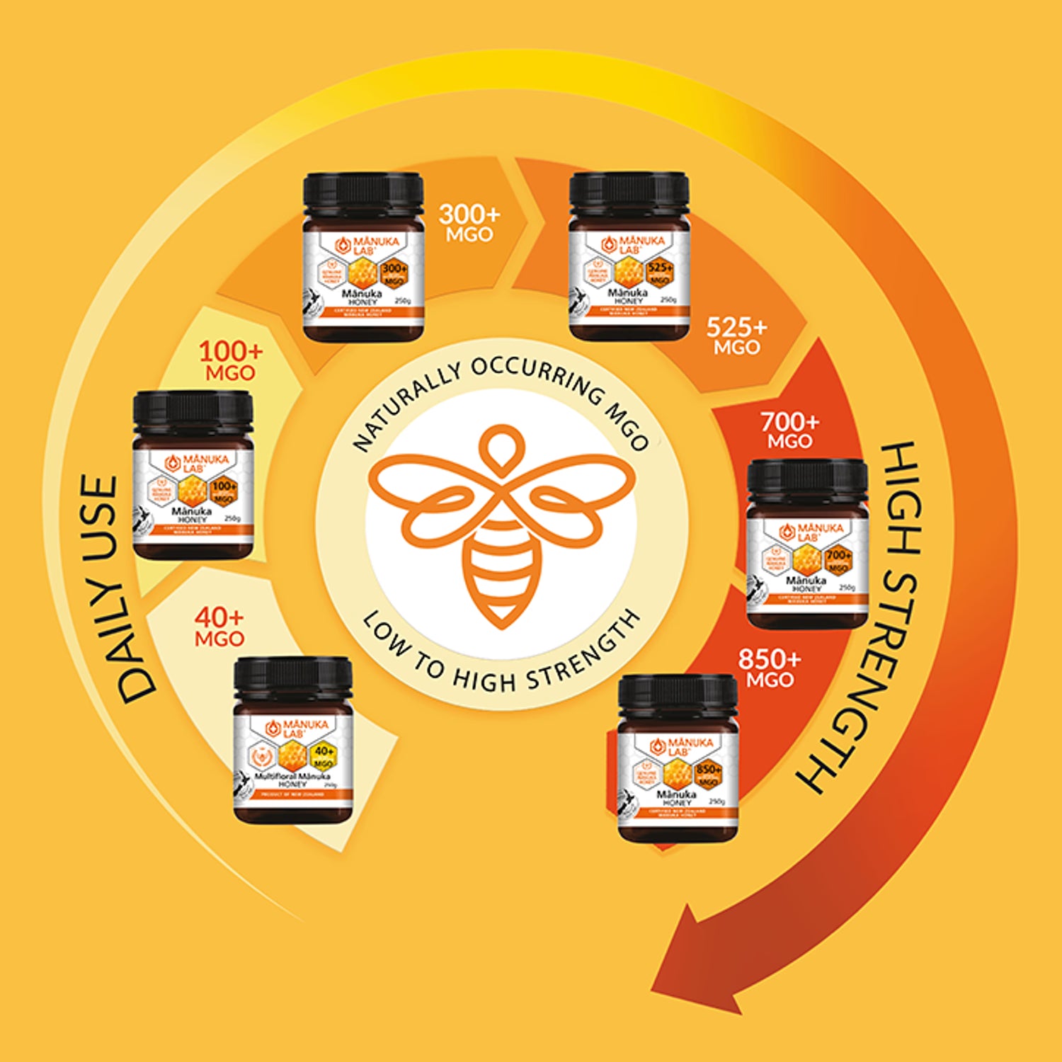 Manuka Lab Manuka Honey MGO 525 250g, imported from New Zealand