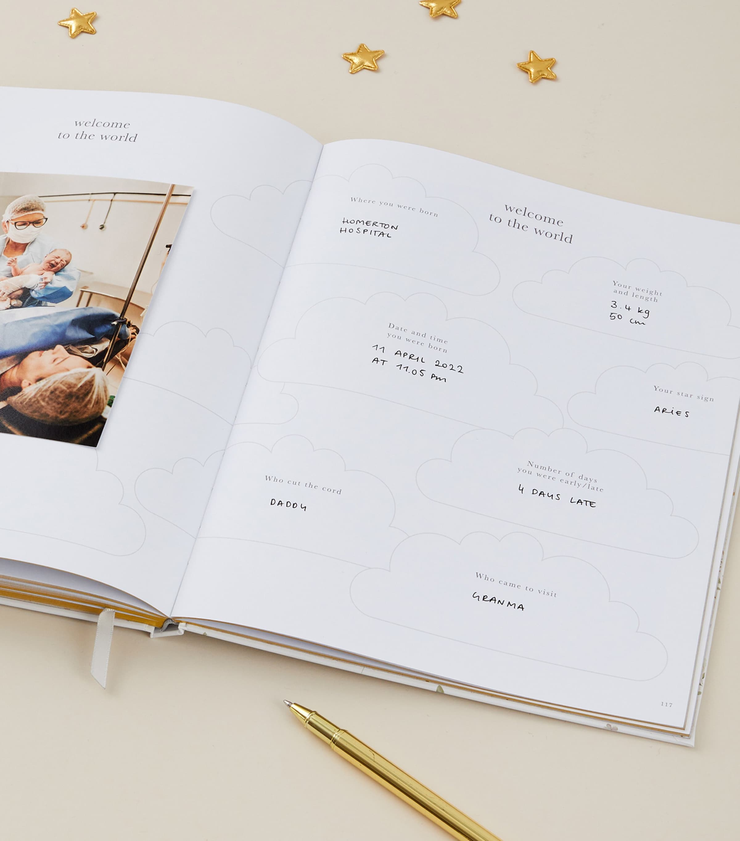 Blush and Gold pregnancy journal - British product
