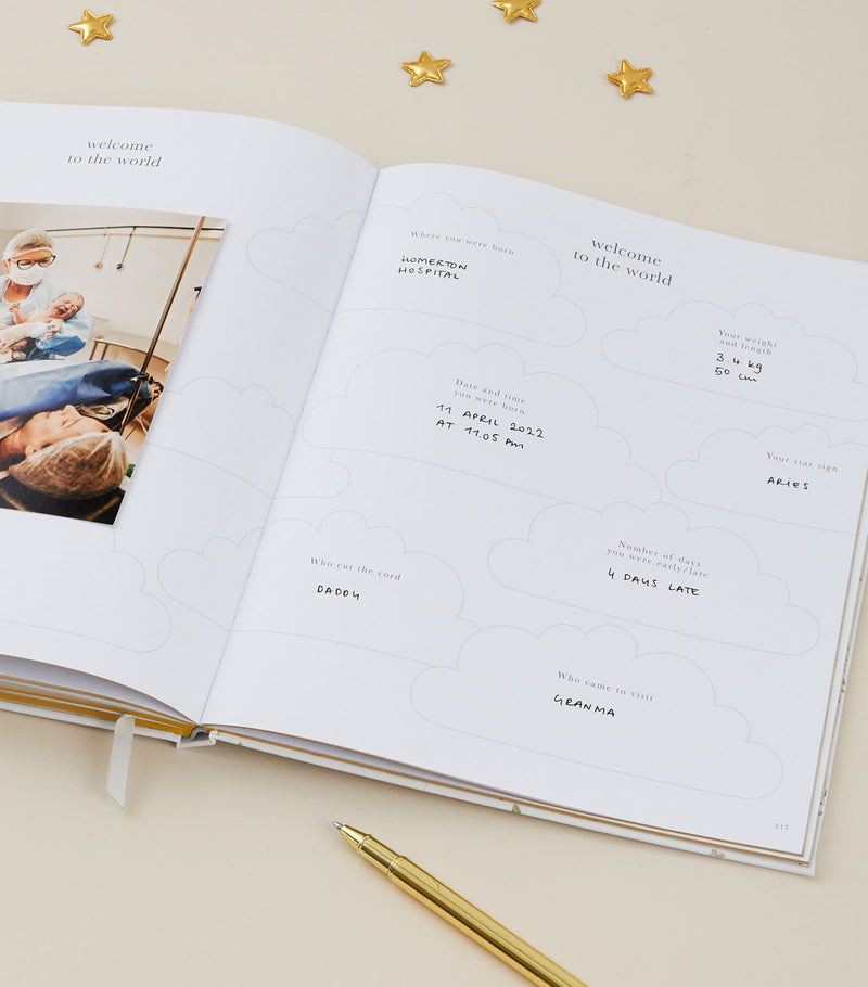 Blush and Gold pregnancy journal - British product