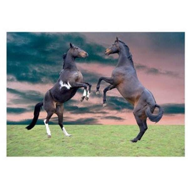 Kevin Milner Horses Rearing Countryside Card