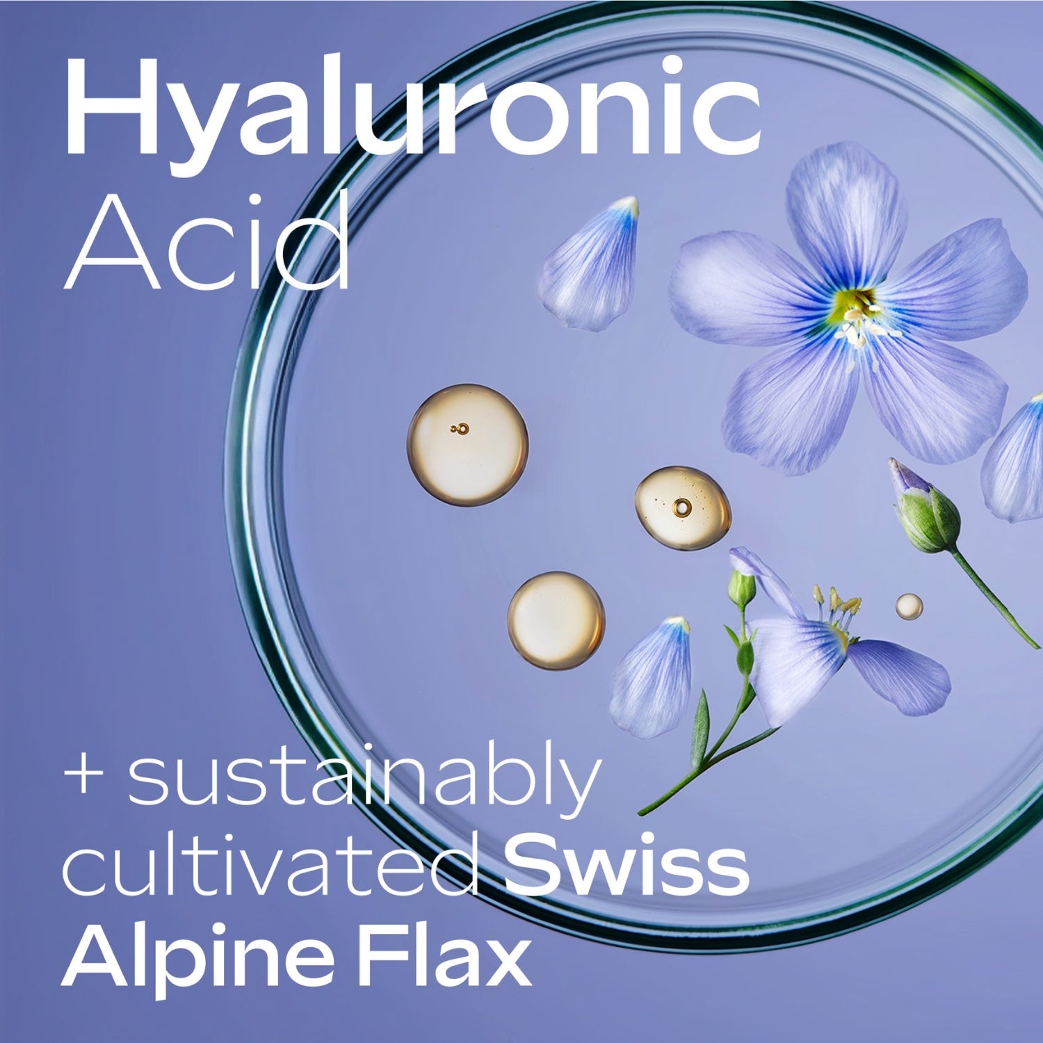 Weleda Hydra Hair Care Shampoo 250ml, imported from the UK