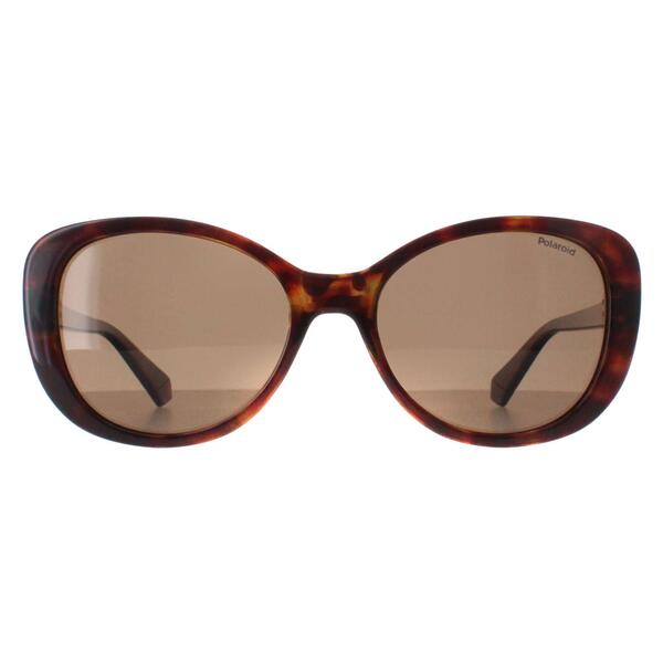 Polaroid Havana Bronze polarized women's sunglasses, UK version
