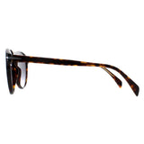 David Beckham DB1008/S brown gradient men sunglasses (British brand)