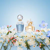 Marc Jacobs Daisy Dream perfume 50ml, imported from the UK