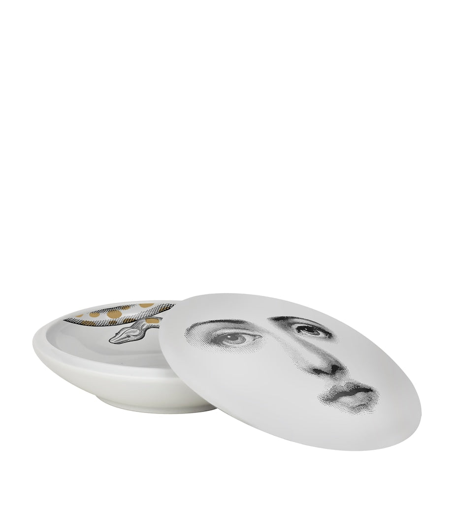 Fornasetti porcelain round box with snake design, 4cm height and 10.5cm diameter - British product