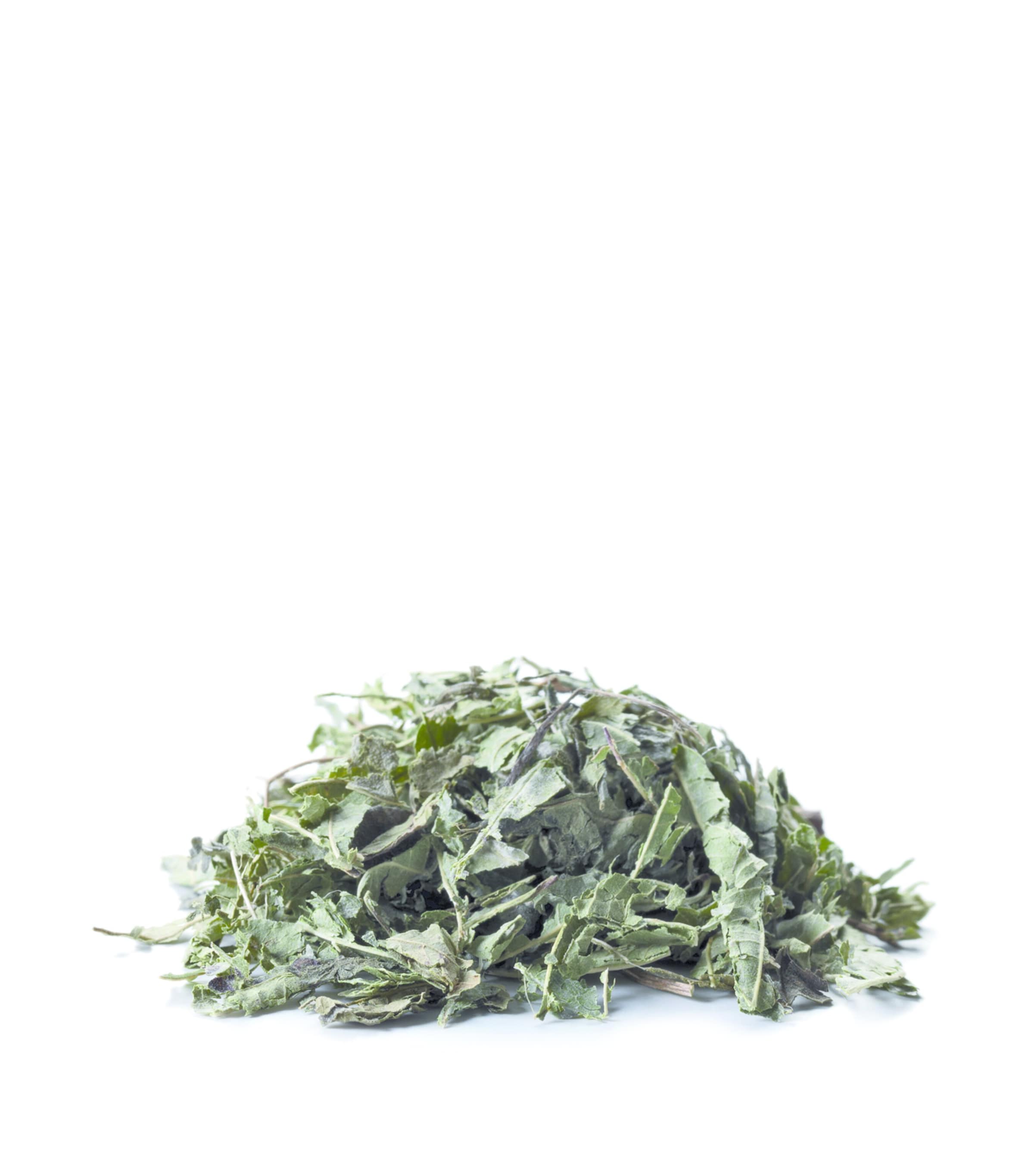 Sirocco Verbena tea bags 20 bags (British brand)