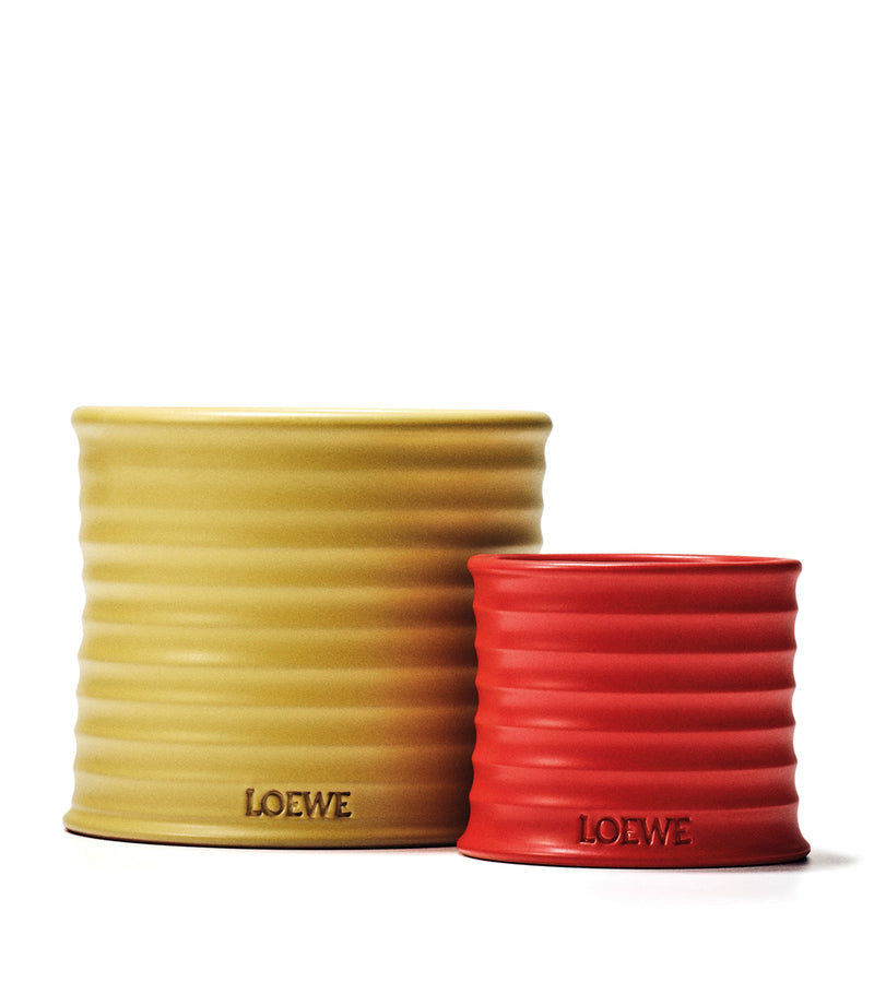 LOEWE Medium Honeysuckle candle, UK version