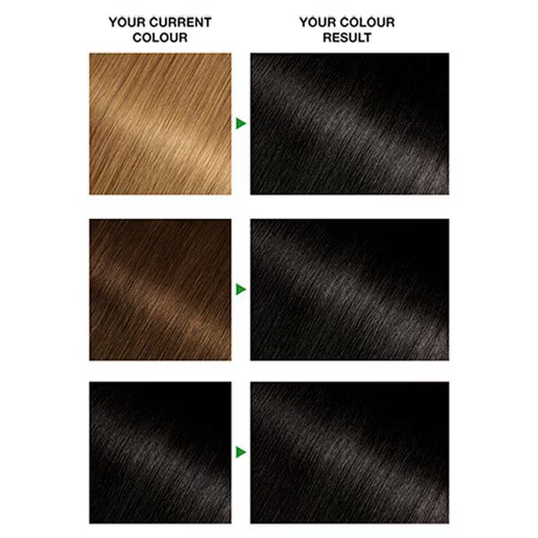 Garnier Nutrisse 1 Black Permanent Hair Dye Box, UK version.