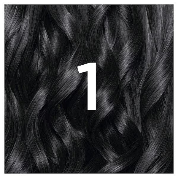 Garnier Nutrisse 1 Black Permanent Hair Dye Box, UK version.