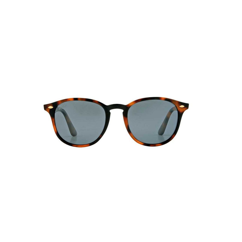 FG&Co sunglasses tortoiseshell FGC006TOR