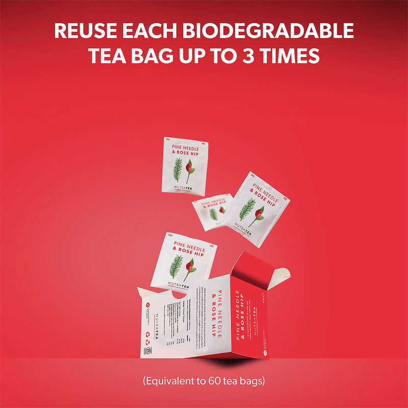 Herbal Tea Pine Needle & Rose Hip 20 Tea Bags (British brand)