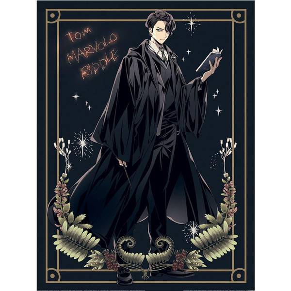 Harry Potter Tom Marvolo Riddle print, UK version