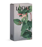 LOEWE honeysuckle room fragrance spray 150ml, UK version