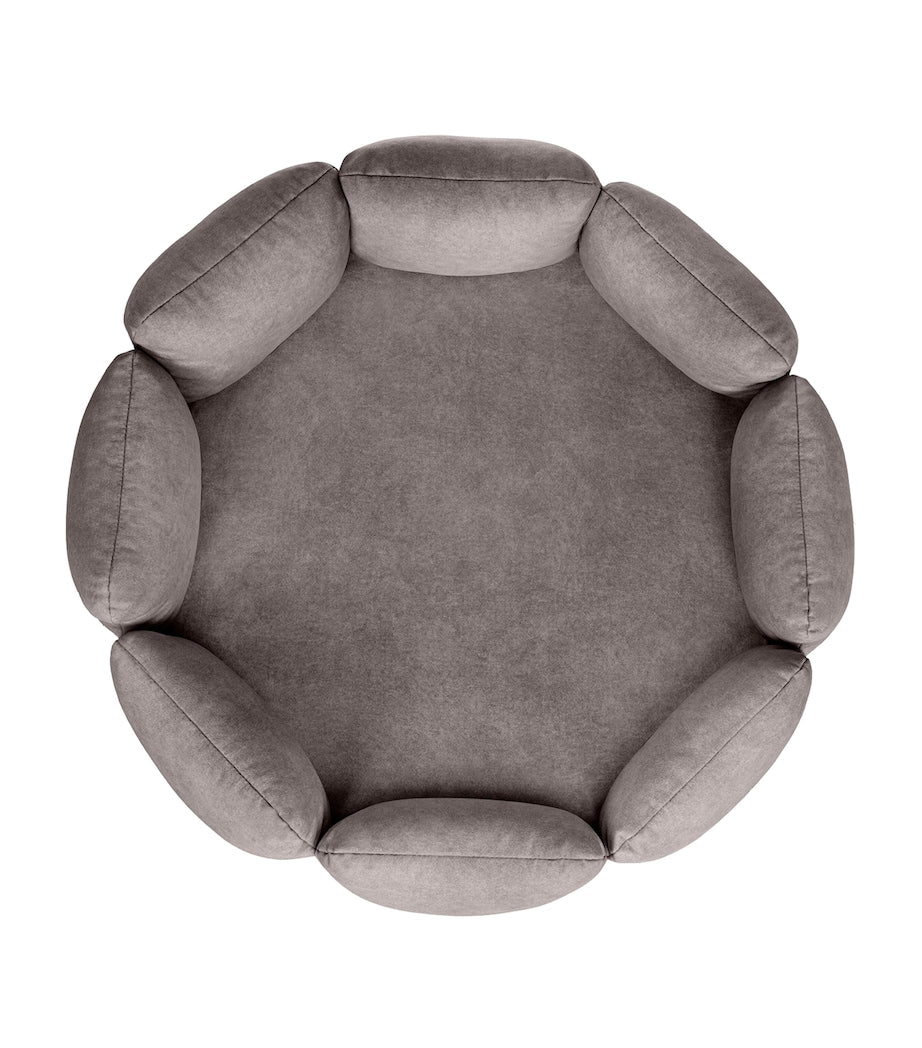 Looty Camelia medium pet bed, UK version