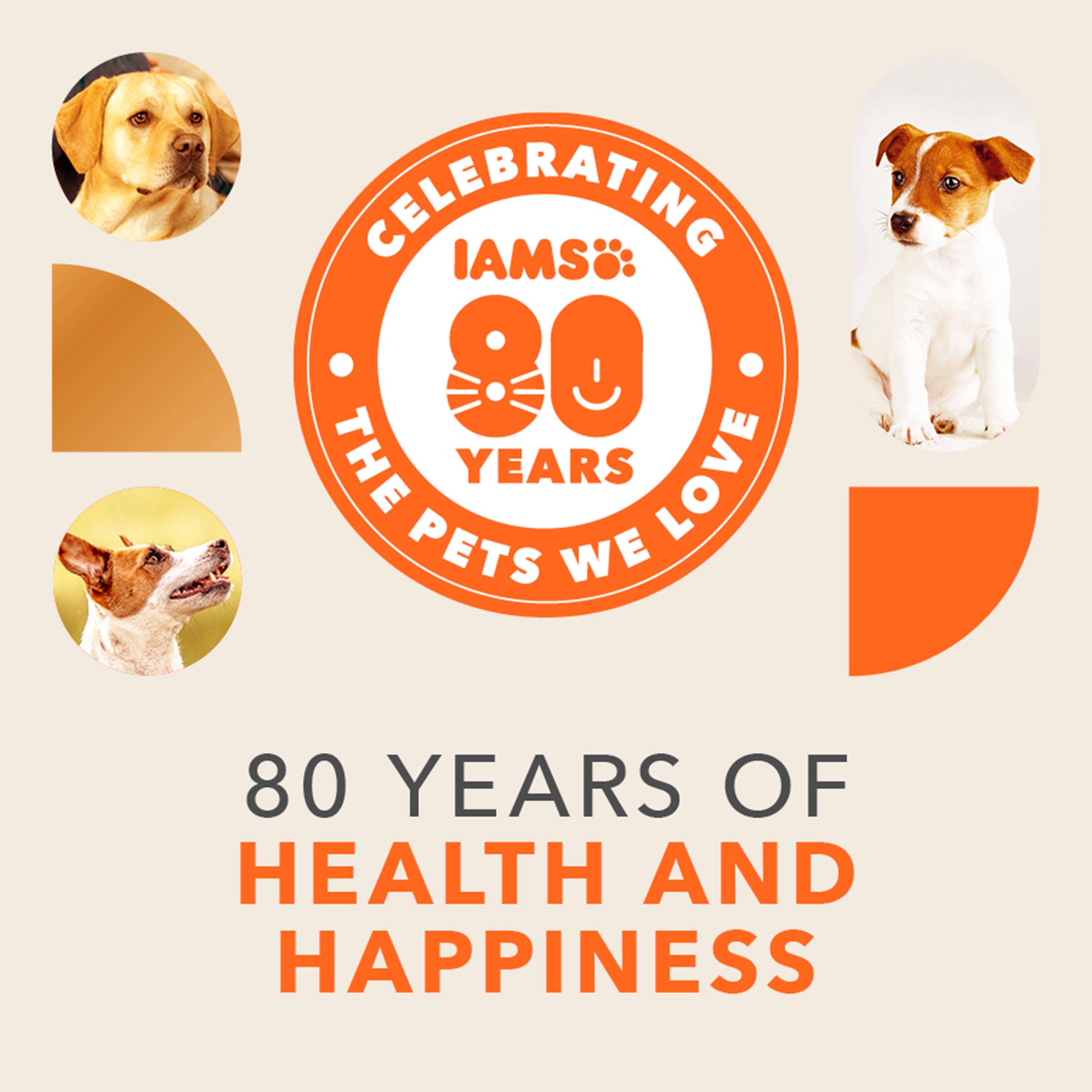 IAMS sensitive digestion dog food with turkey for adult dogs 2kg, UK version