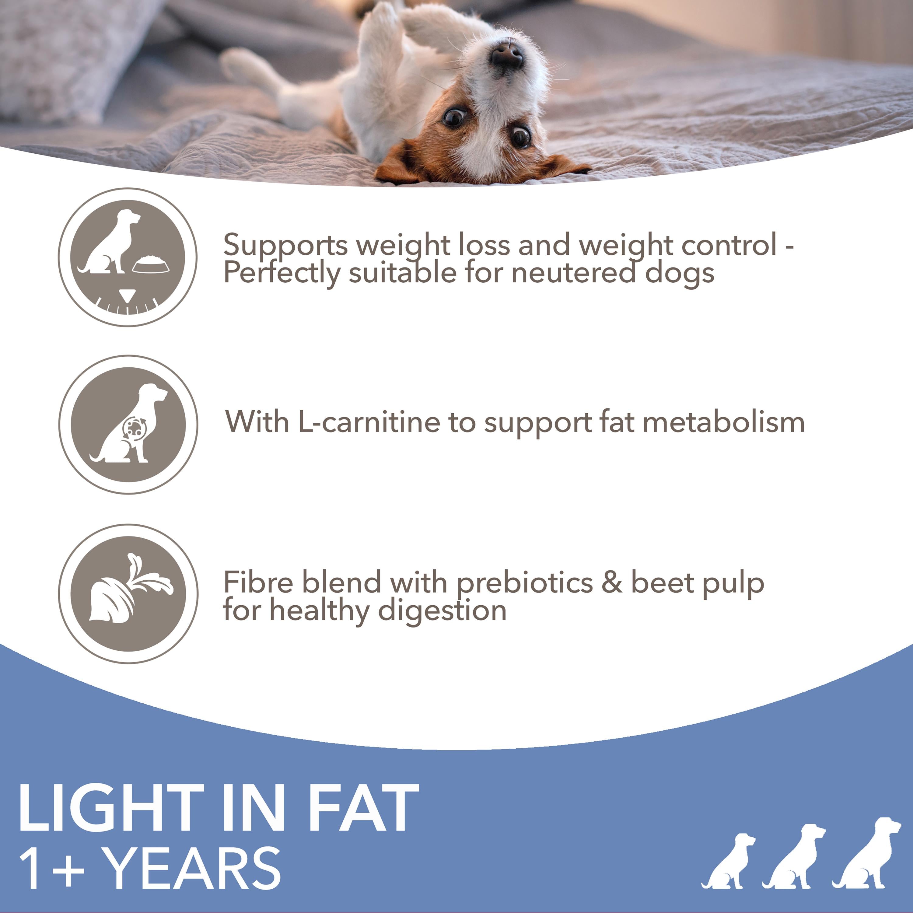 IAMS weight control dog food 2kg, imported from the UK