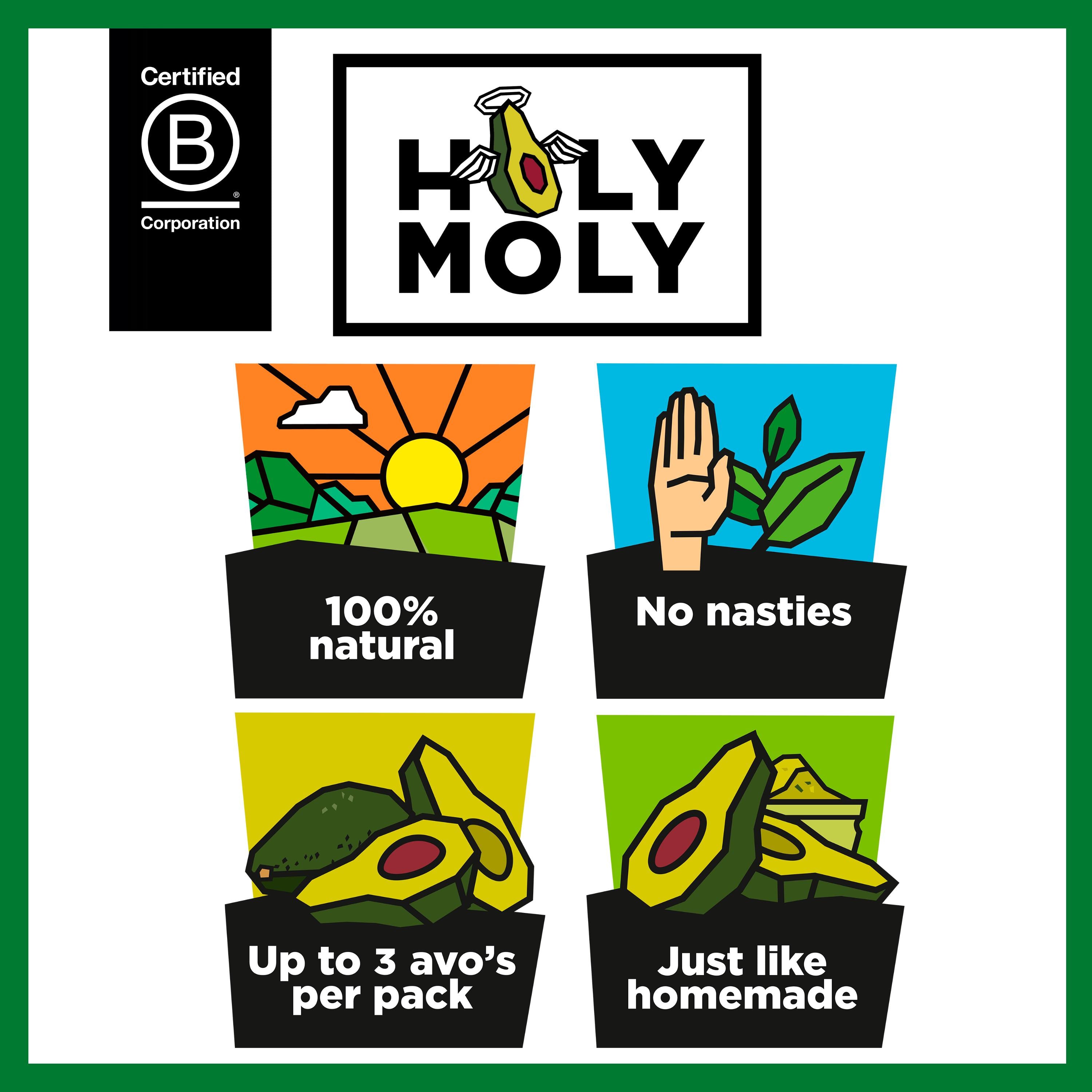 Holy Moly Guacamole XL 283g - British product
