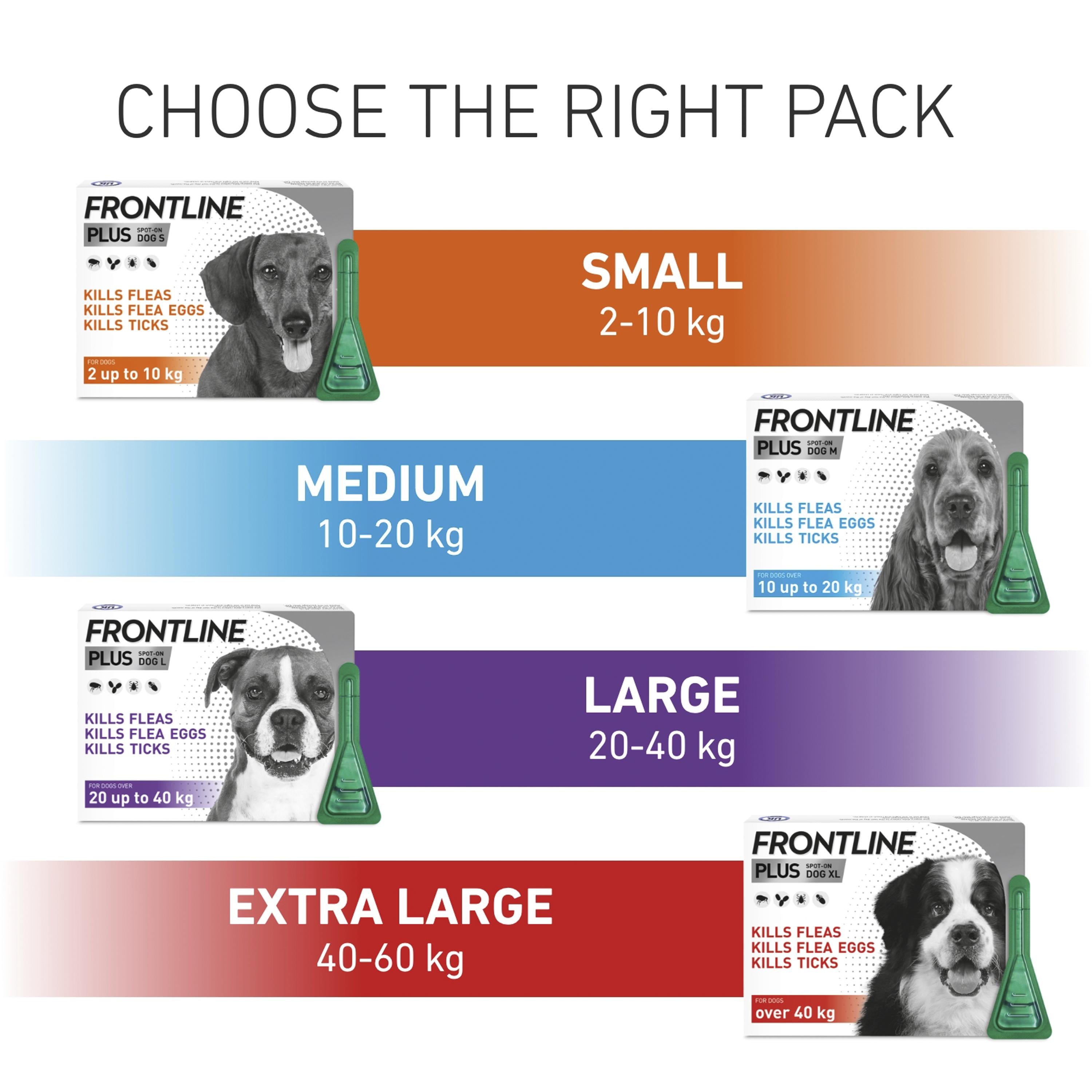 Frontline Plus small dog flea treatment 2-10kg - British product