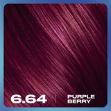 Clairol permanent hair dye Purple Berry 6.64 - British product