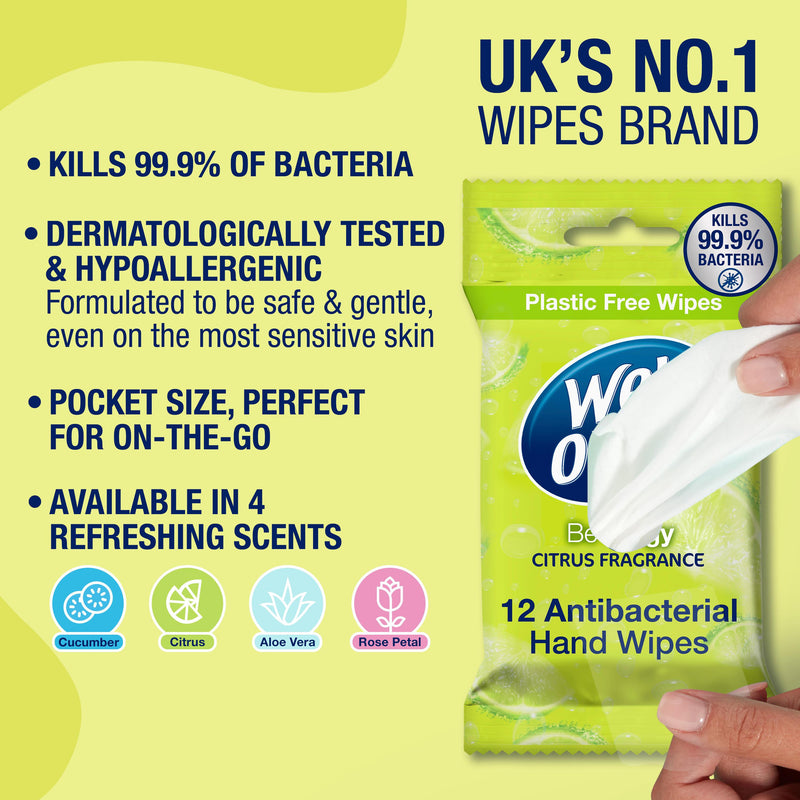 Wet Ones Zingy antibacterial hand wipes 12 wipes, UK version