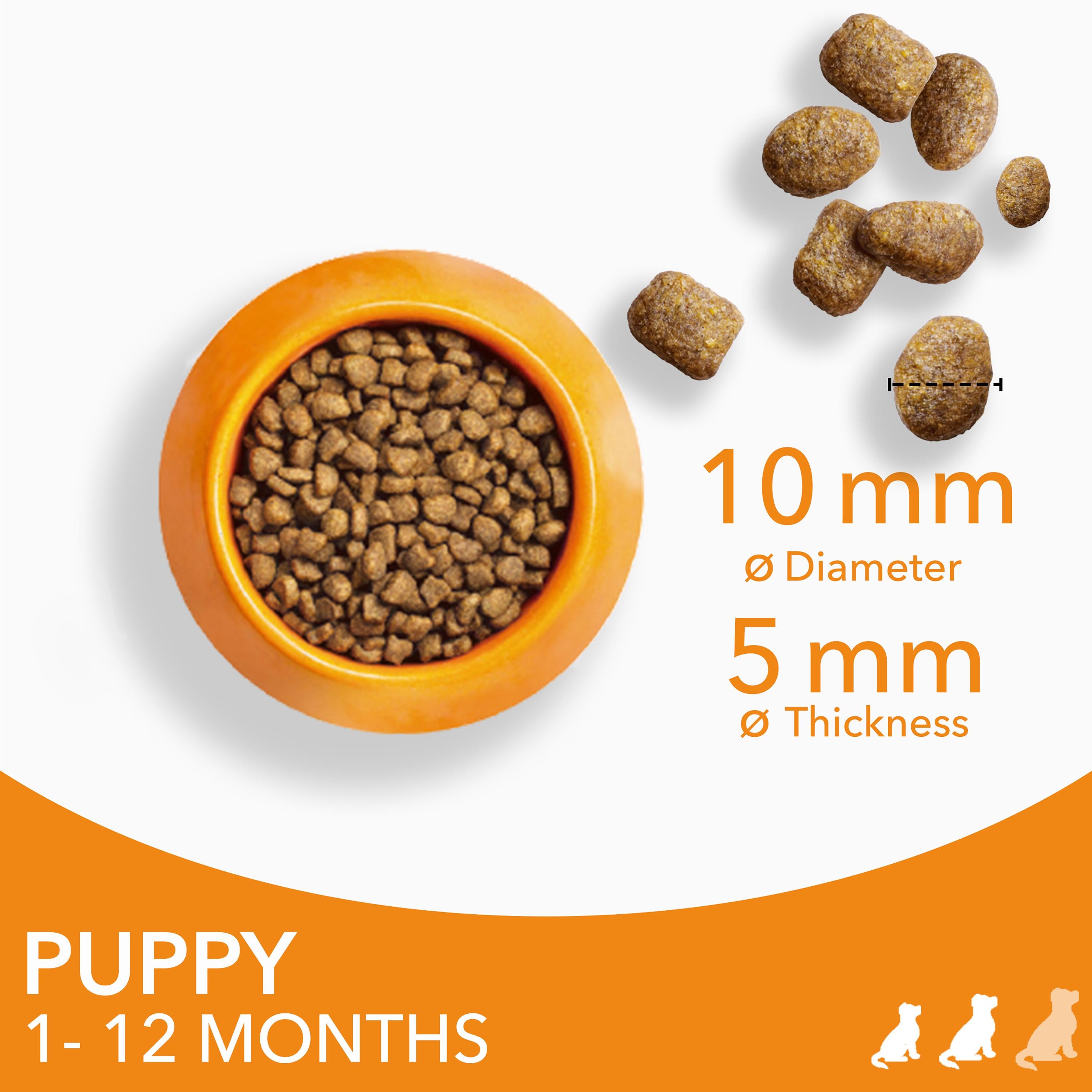 IAMS puppy dry dog food 2kg, UK version