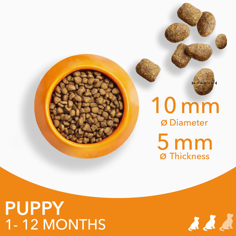 IAMS puppy dry dog food 2kg, UK version