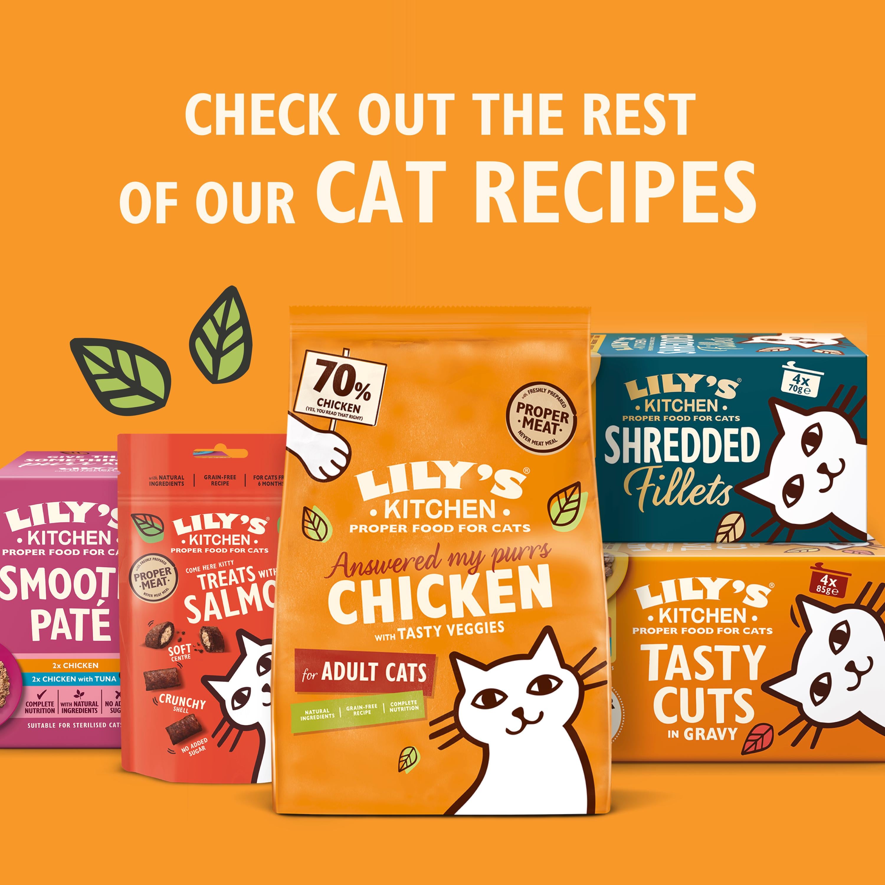 Lily's Kitchen Shredded Fillets cat food multipack 4x70g - British product