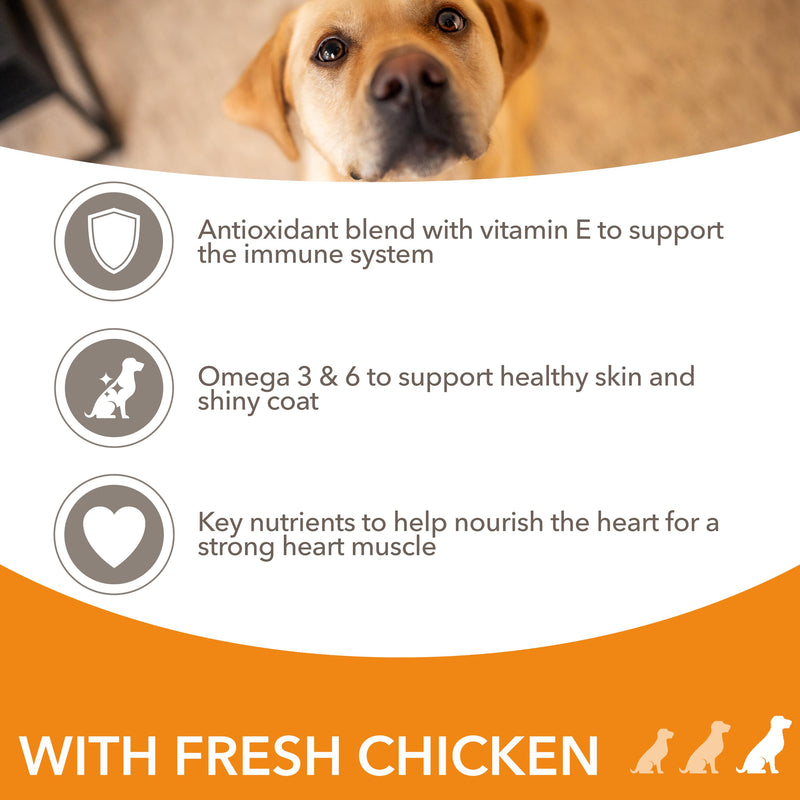 IAMS dry dog food large breed chicken 2kg - British product