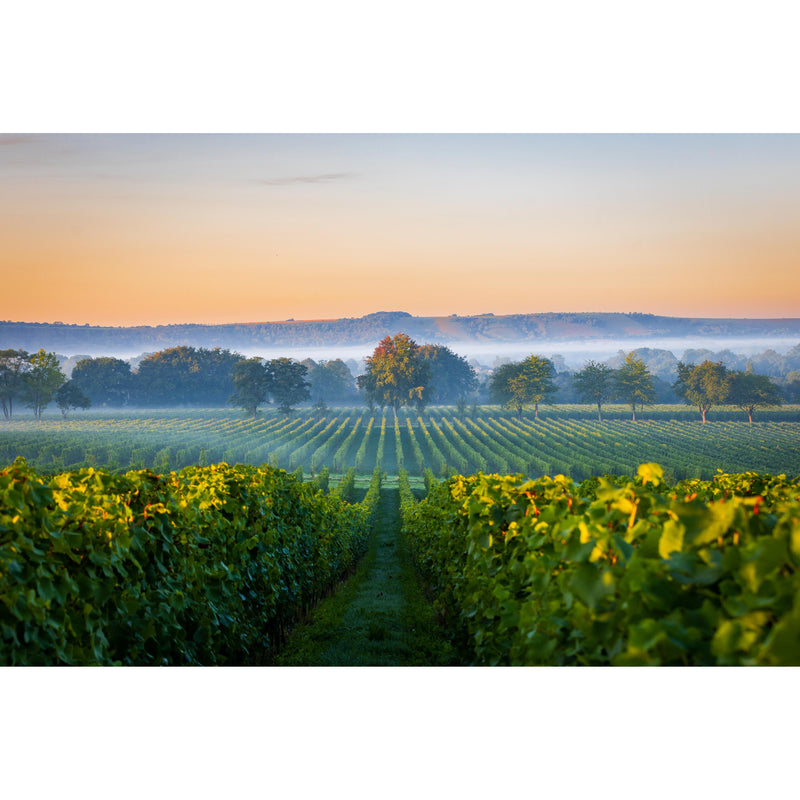Nyetimber Classic Cuvee sparkling wine 75cl (British brand)