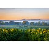 Nyetimber Classic Cuvee sparkling wine 75cl (British brand)