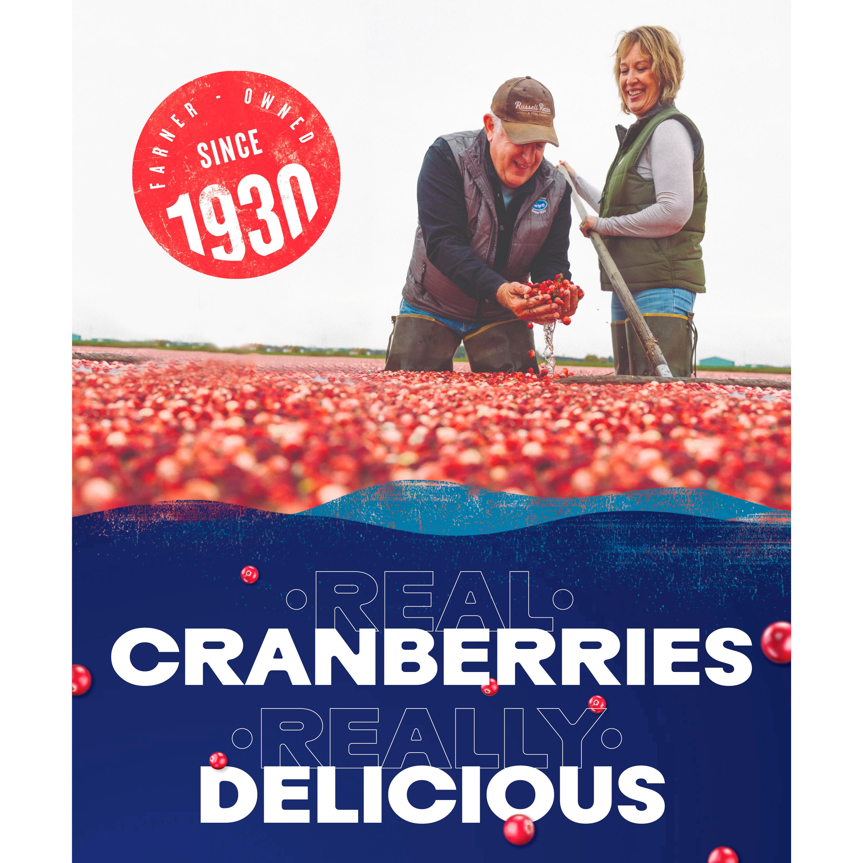 Ocean Spray Cranberry Juice 1L (British brand)