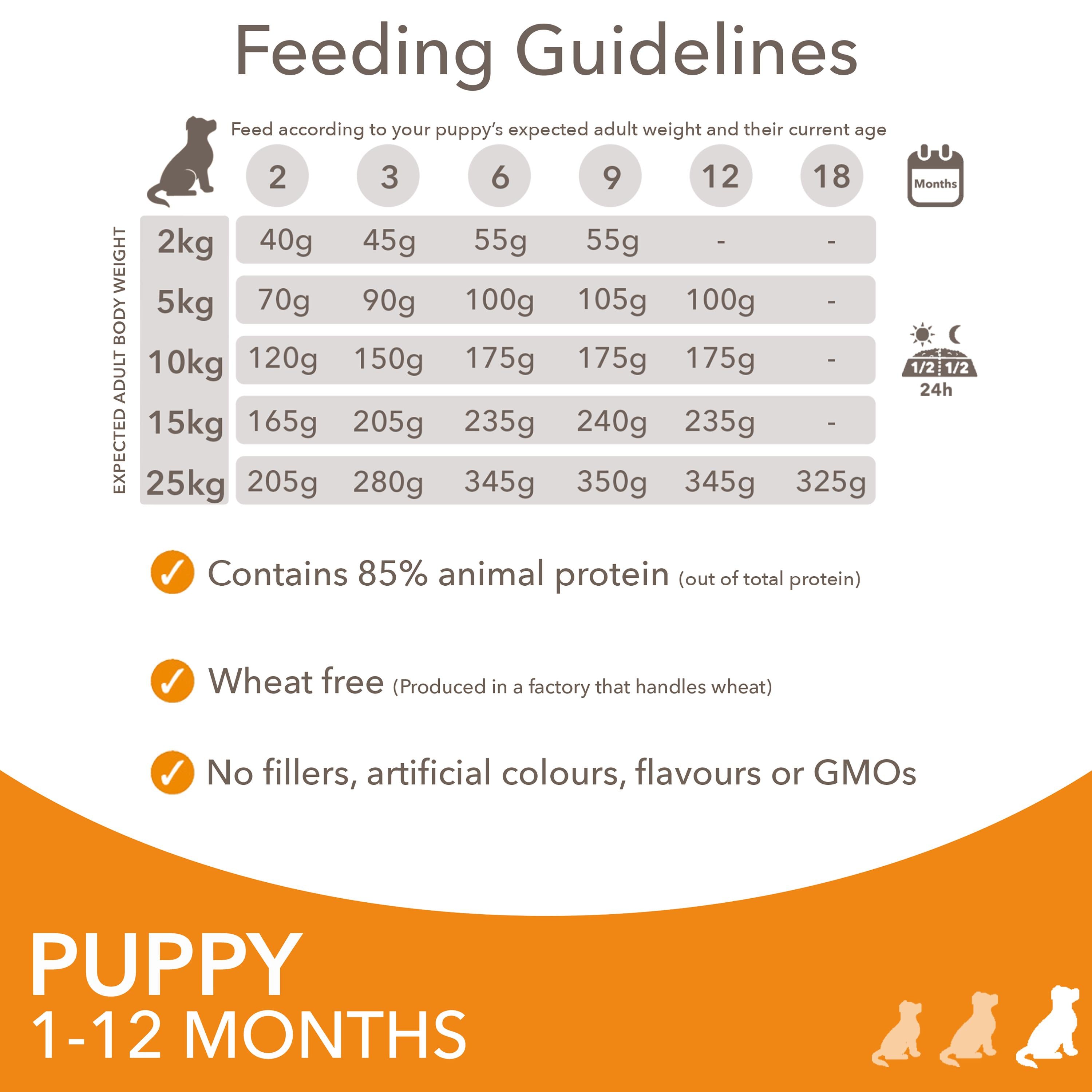 IAMS puppy dry dog food 2kg, UK version