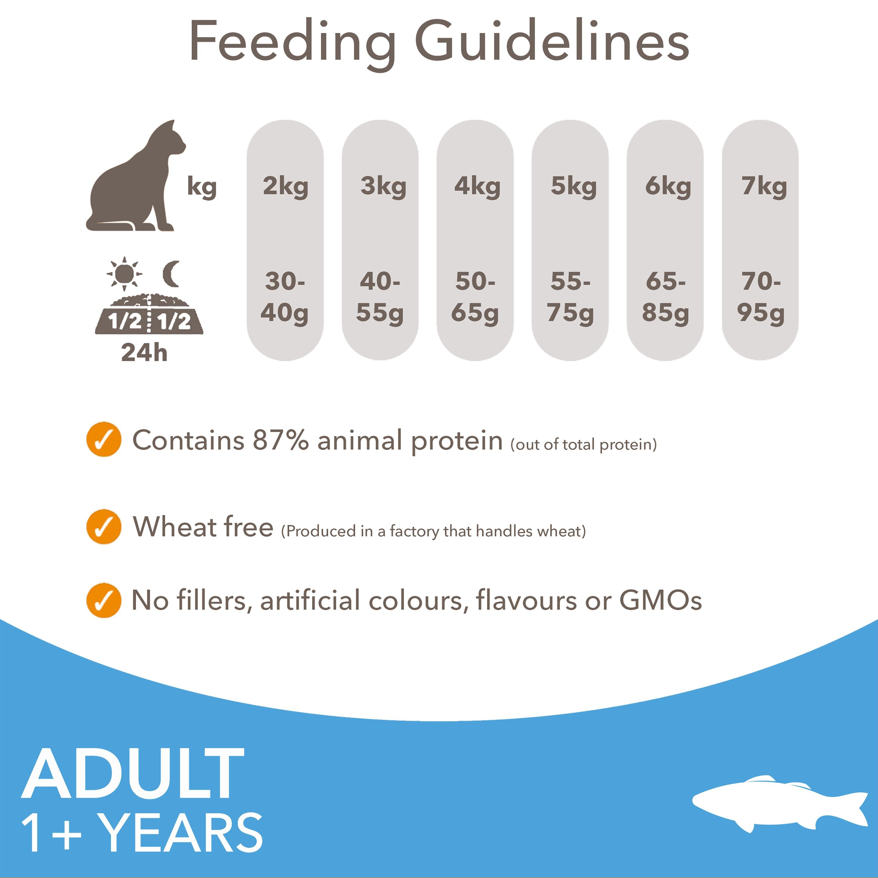 IAMS adult cat food ocean fish 800g - British product