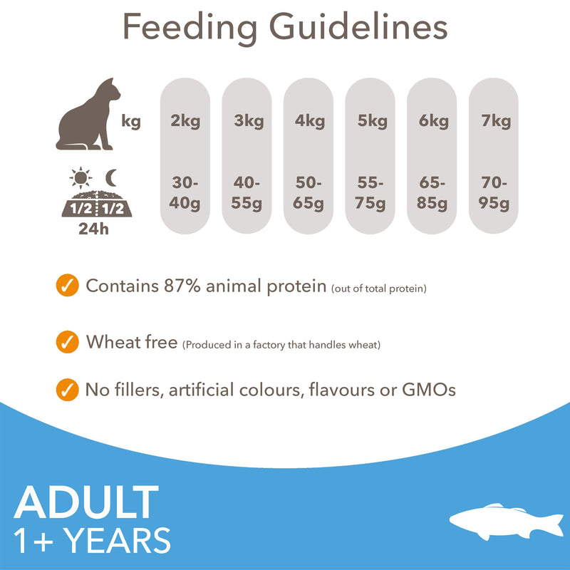 IAMS adult cat food ocean fish 800g - British product