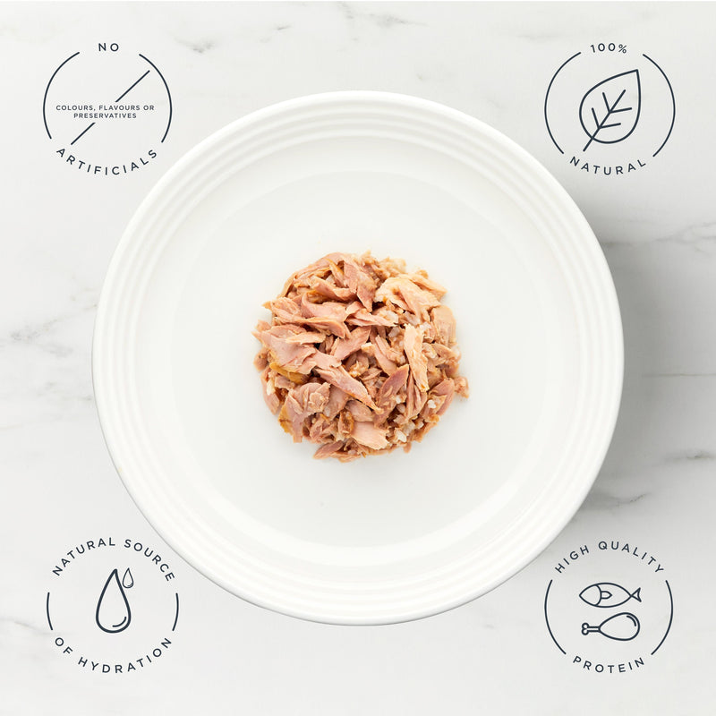 Encore wet cat food tuna and salmon 70g (British brand)